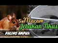 Download Lagu Cara Membuat Perangkap Tikus SANGAT AMPUH  (how to make a mousetrap)