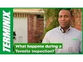 Termite Inspection Facts to Know from Terminix