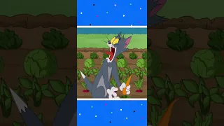 ليس البُسْتَان 🫣 #tomandjerry #توم_جيرى #كارتونيتو #Cartoonito