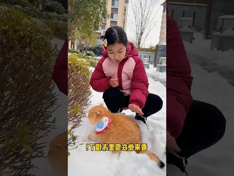 अचानक बिल्ली बर्फ में आकर धंस गई फिर जो हुआ 🥹😭#shorts #cat #shortsfeed #shortsviral