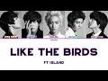 FT Island – 새들처럼 (Like The Birds) [Han|Rom|Eng] Color Coded Lyrics