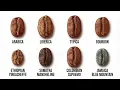 Every Coffee Bean Explained