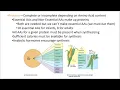 2402 Lecture Chapter 24 Nutrition and Metabolism 1 PowerPoint Screencast