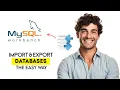 How to Import Export Databases in MySQL Workbench 2025 Fast Easy Guide