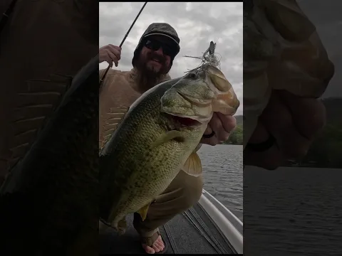 This Chatterbait Combo Is A Fish Catching Machine!