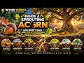 Inside an Acorn Nature s Hidden Underground Journey