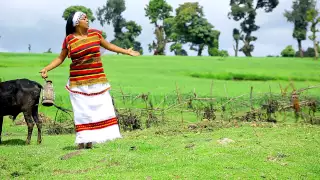 Hawwii H Qananii New Oromo Music 