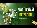 Plant Disease Detection Using CNN Deep Learning Project