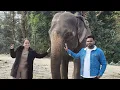 Lagu Day 4 Jaldapara Elephant safari 🥰❤️