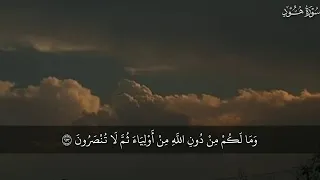  ولا تركنوا الي الذين ظلموا فتمسكم النار  خواتيم سورة هود للقارئ محمد صديق المنشاوي دندنها