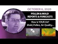 Seasonal Allergy Forecast Pollen and Mold Counts October 6 2020