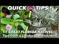 CREATE A RESILIENT FLORIDA GARDEN WITH NATIVE PLANTS Advice from a Landscape Architect ZONES 8-11