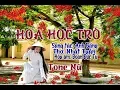 Download Lagu karaoke Hoa Học Trò (tone Nữ)🎤