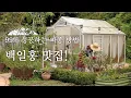 Download Lagu 백일홍 맛집 99% 성공하는 파종 방법과 키 큰 백일홍을 키 작고 풍성하게 키우는 꿀팁! 다양한 공간 식재 풍경과 함께 심으면 좋은 꽃