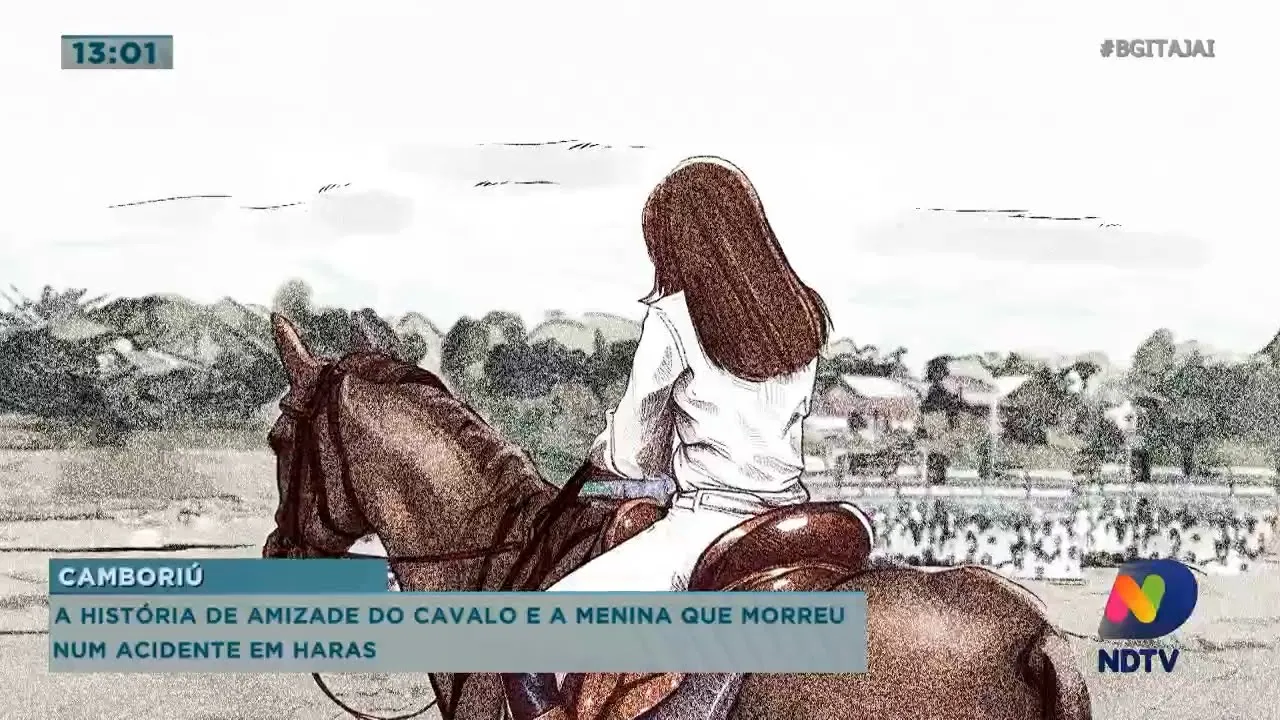 A história de amizade do cavalo e a menina que morreu num acidente em haras