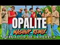 Lagu OPALITE X PREDADOR DE PERERECA ( Mashup ) - Dj Choijay |  Tiktok Viral | Dance Fitness | Newfriendz