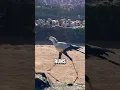 Download Lagu This Bird Hunts Like a Dinosaur