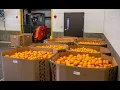 Tri-Cities 2nd Harvest receives truckloads of fresh produce for National Ag Month