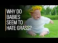 Download Lagu Watch these babies instinctually avoid grass