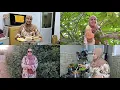 Download Lagu رجعت لأيام زمان ❤️ قطف التين واحد لخلعة دارت بيا 