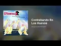 Grupo Exterminador - Contrabando En Los Huevos (Audio)