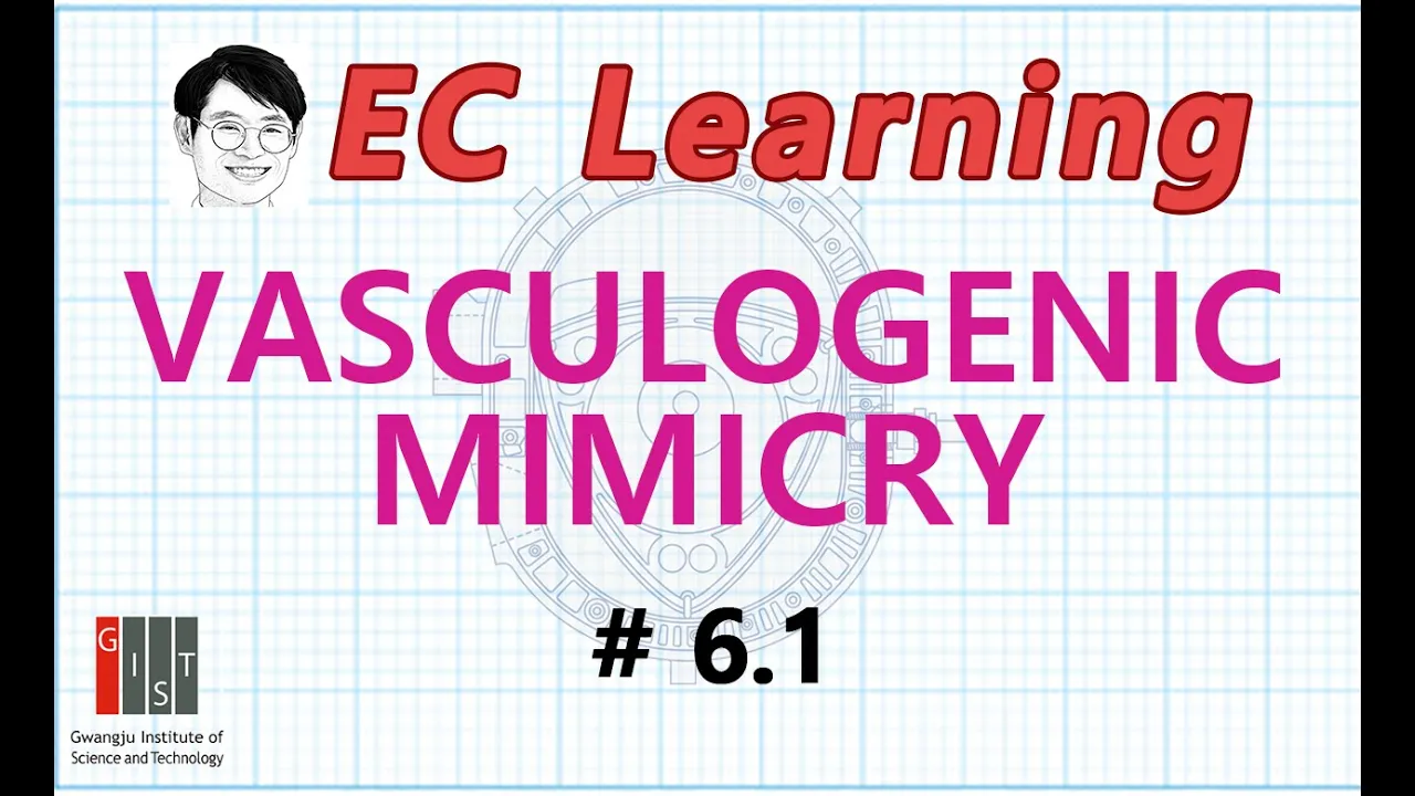 6.1 Physiological Principles Vasculogenic Mimicry