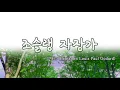 조슬랭 자장가 "Benceuse" from opera Jocelyn - 고다르 (Benjamin Louis Paul Godard) 피아노소곡 (SkyPiano)