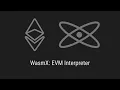 WasmX EVM Interpreter as a Web Assembly Contract written in AssemblyScript