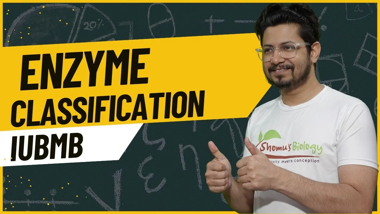 Enzyme classification and nomenclature | IUBMB classification on enzymes