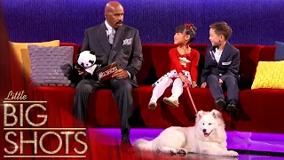 animal whisperer jiaying meets steve harvey little big shots