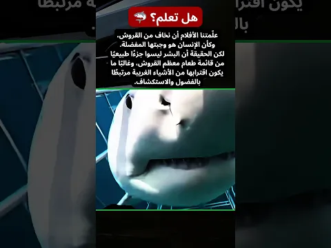 هل تعلم؟ 🦈 علّمتنا هوليوود أن نخاف من القروش... لكن الواقع مختلف!