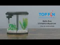 Top Fin Bowfront Dual Betta Tank 2 5 Gallon Setup YouTube