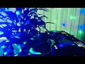 ▶ Psytrance x Techno DJ set - Distorted Reality 🎧 #8