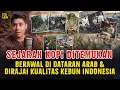 Lagu SEJARAH DITEMUKANYA KOPI HINGGA MENJADI MINUMAN TERBAIK DUNIA