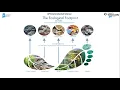 AP Environmental Science Tragedy of the Commons through Ecological Footprint