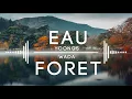 Lagu Yoongs \u0026 Wada - Eau et Forêt [Jiolambups Official Audio 2K18]