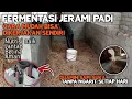 Download Lagu 🔴 Cara Membuat Fermentasi Jerami Untuk Pakan Sapi