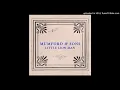 Mumford And Sons - Little Lion Man (Radio Edit)
