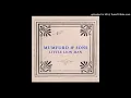 Download Lagu Mumford And Sons - Little Lion Man (Radio Edit)