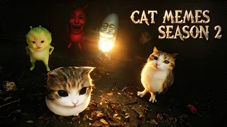 Cat Memes 2026 Season 2