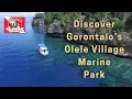 Discover Gorontalo’s Olele Village Marine Park | Drone Video
