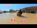 Download Lagu Nước Cứ Lên Nữa Thì Sập Nhà Và Lý Do Mất Hết Chim Chào Mào Bạch