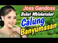Lagu BUKET MBLEKETAKET POLL KAGEM JAMPI SAYAH CALUNG BANYUMASAN 