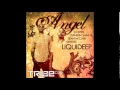 Liquideep - Angel(dj spen mix short edit)