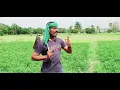 Download Lagu kadavul ennum muthalali Tamil song