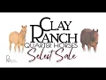 Clay Ranch Quarter Horses 2024 Select Sale Feature