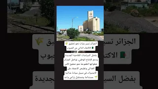 الجزائر تسير بثبات نحو تحقيق الاكتفاء الذاتي في هذه المادة  الجزائر تسير بثبات نحو تحقيق الاكتفاء الذاتي في هذه المادة