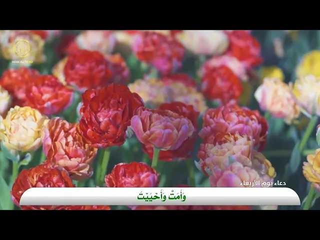 ⁣دعاء يوم الأربعاء