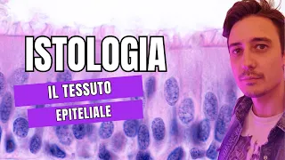 Istologia pratica - il tessuto epiteliale