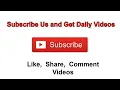 FREDDIE MERCURY NET WORTH DEATH LIFE STYLE FAMILY BIOGRAPHY HOUSE AND CAR